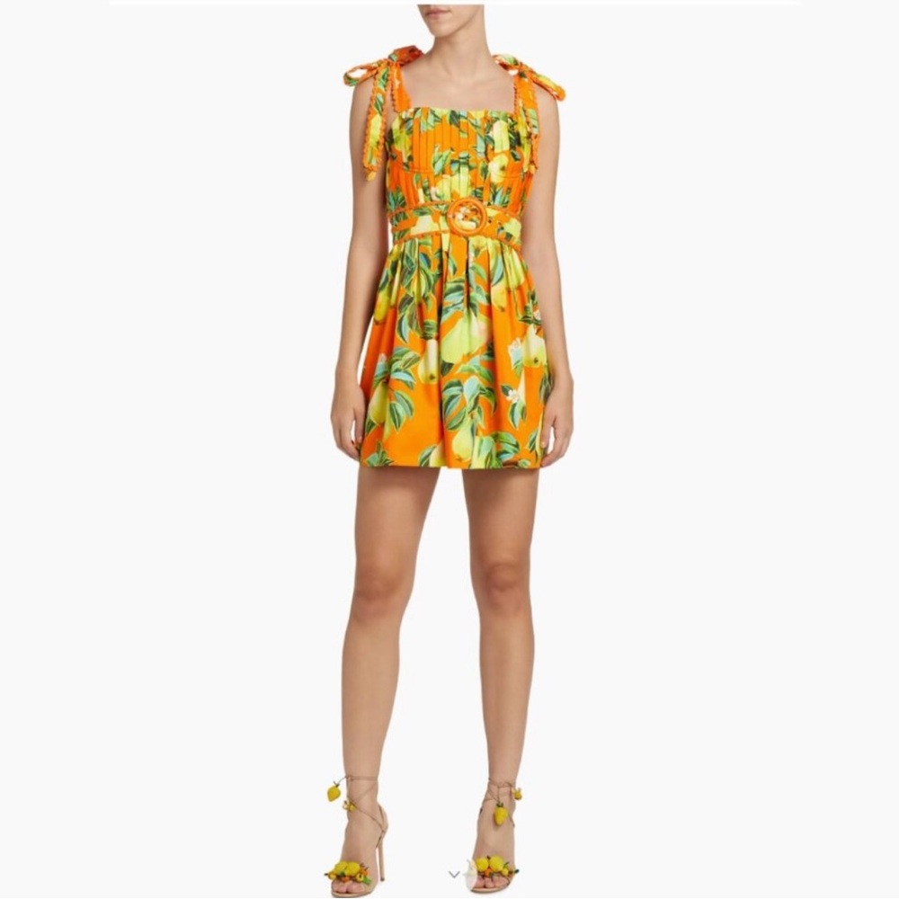 FARM Rio Chic Pears Mini Dress - Picture 5 of 12